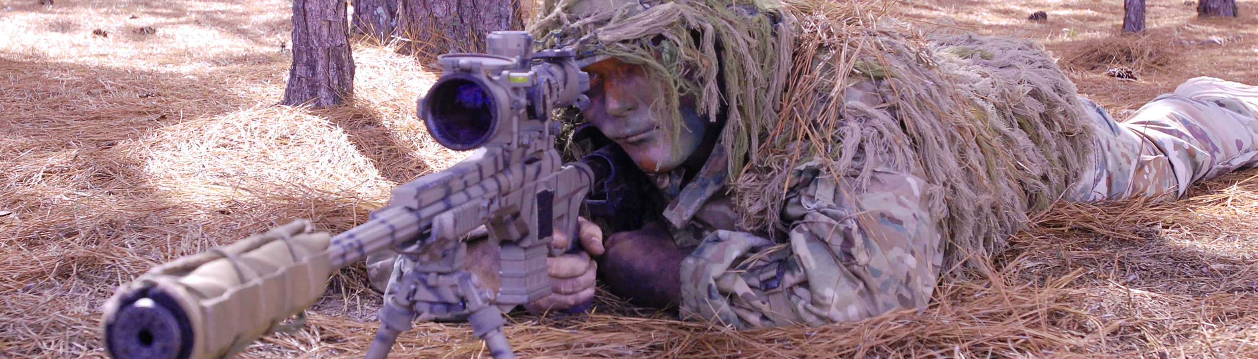 Savage Stealth